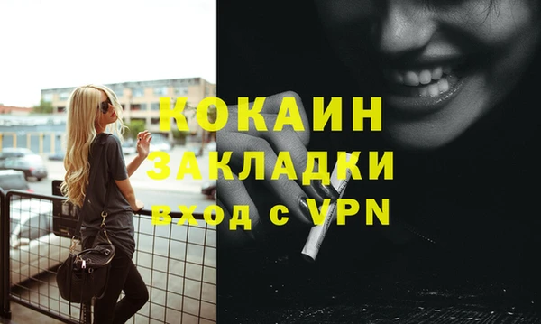стафф Дмитриев