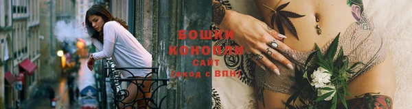 стафф Дмитриев