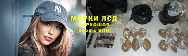 стафф Дмитриев