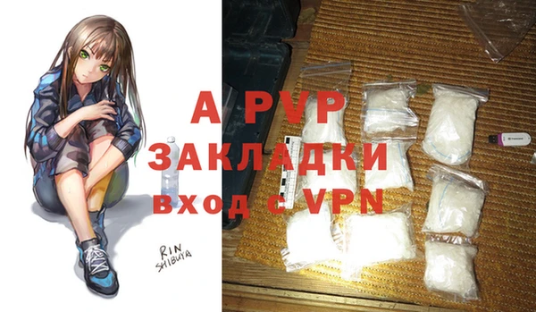 стафф Дмитров