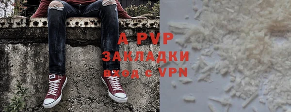 стафф Дмитриев