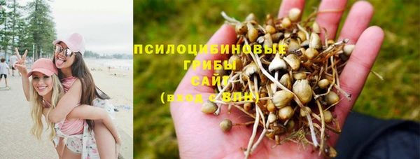прущая мука Дмитровск